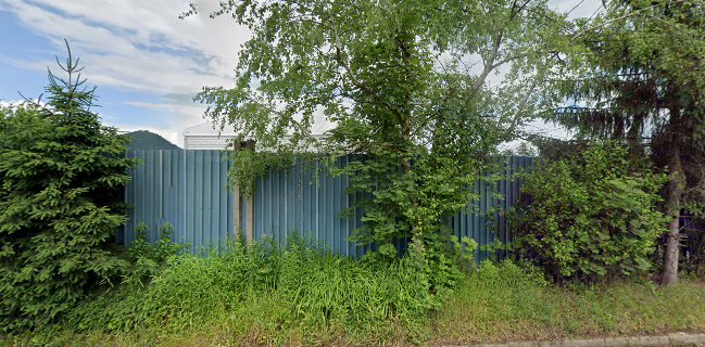 F&M Company d.o.o. Trgovina prodaja na Debelo Sadje In Zelenjava