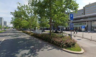 Maks mesnica, prodaja na drobno, d.o.o.