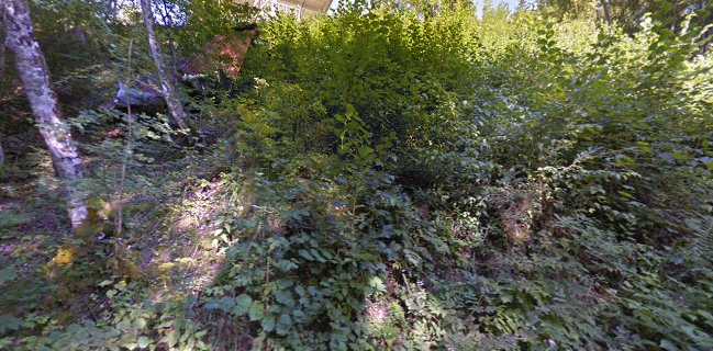 Velika planina BAR/ BUFFET