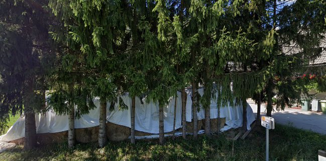 Comentarii opinii despre DPR PEKARNA RESNIK, proizvodnja kruha in slaščic, d.o.o.