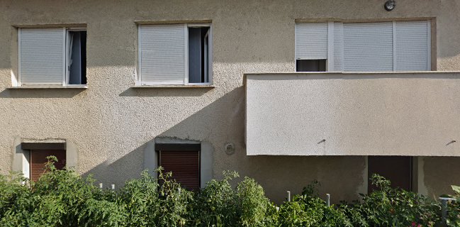 DetoxLife, Darko Bogićević, s.p.