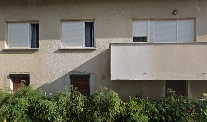 DetoxLife, Darko Bogićević, s.p.