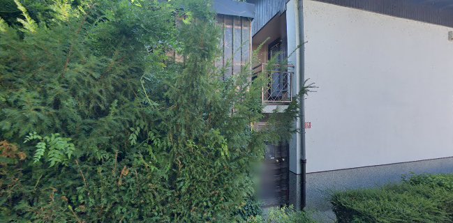 Pozza priprava in dostava jedi, Anže Potisek s.p.